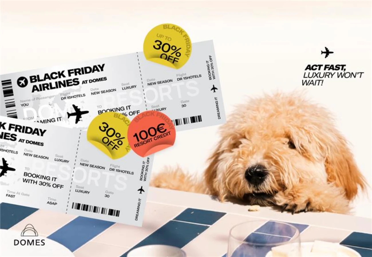 Black Friday Offer at Paxos